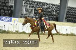 24R13_23127 thumbnail