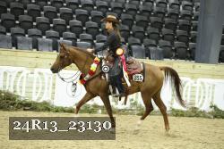 24R13_23130 thumbnail