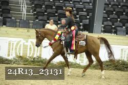 24R13_23131 thumbnail