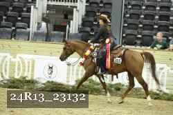24R13_23132 thumbnail
