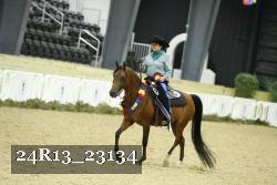 24R13_23134 thumbnail