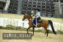 24R13_23141 thumbnail