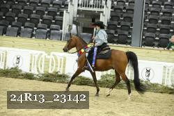 24R13_23142 thumbnail