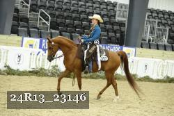 24R13_23146 thumbnail
