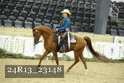 24R13_23148 thumbnail
