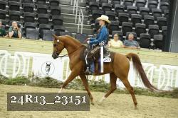 24R13_23151 thumbnail