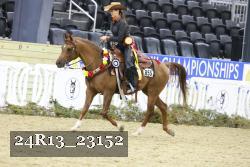 24R13_23152 thumbnail