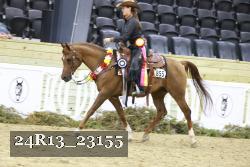 24R13_23155 thumbnail