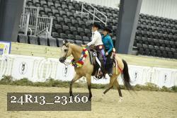 24R13_23160 thumbnail