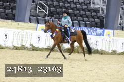 24R13_23163 thumbnail