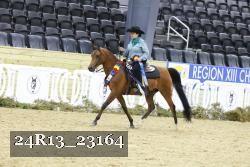 24R13_23164 thumbnail