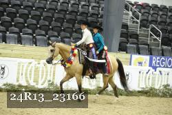 24R13_23166 thumbnail