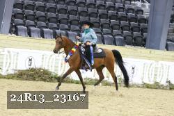 24R13_23167 thumbnail