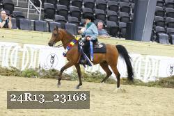 24R13_23168 thumbnail