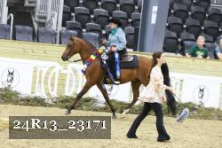 24R13_23171 thumbnail