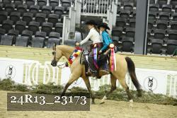 24R13_23173 thumbnail
