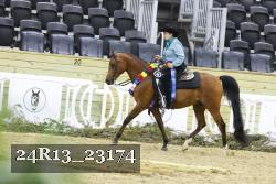 24R13_23174 thumbnail