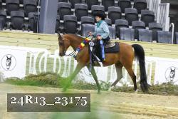 24R13_23175 thumbnail