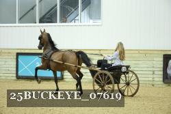 25BUCKEYE_07619 thumbnail