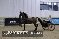 25BUCKEYE_07621 thumbnail