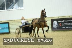 25BUCKEYE_07626 thumbnail