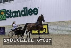 25BUCKEYE_07627 thumbnail