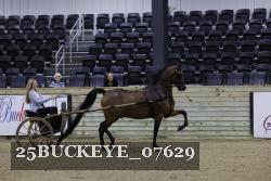 25BUCKEYE_07629 thumbnail