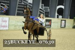 25BUCKEYE_07630 thumbnail