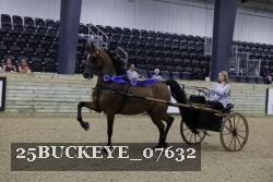 25BUCKEYE_07632 thumbnail