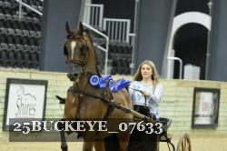 25BUCKEYE_07633 thumbnail