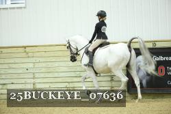 25BUCKEYE_07636 thumbnail