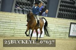 25BUCKEYE_07637 thumbnail