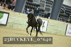 25BUCKEYE_07640 thumbnail