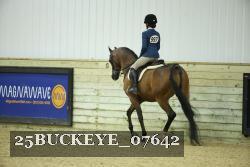 25BUCKEYE_07642 thumbnail