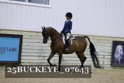 25BUCKEYE_07643 thumbnail