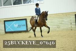 25BUCKEYE_07646 thumbnail