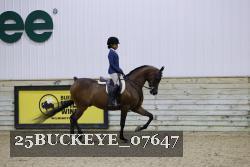 25BUCKEYE_07647 thumbnail
