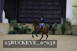 25BUCKEYE_07658 thumbnail