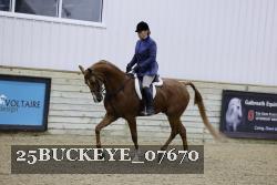 25BUCKEYE_07670 thumbnail