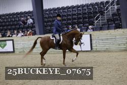 25BUCKEYE_07675 thumbnail