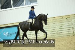 25BUCKEYE_07678 thumbnail