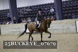 25BUCKEYE_07679 thumbnail