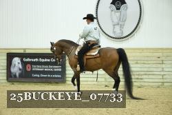 25BUCKEYE_07733 thumbnail