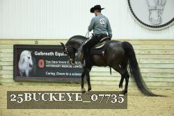 25BUCKEYE_07735 thumbnail