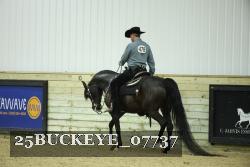 25BUCKEYE_07737 thumbnail