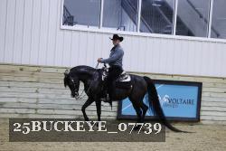 25BUCKEYE_07739 thumbnail