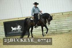 25BUCKEYE_07741 thumbnail