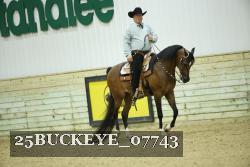 25BUCKEYE_07743 thumbnail