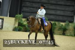 25BUCKEYE_07745 thumbnail