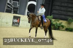 25BUCKEYE_07746 thumbnail